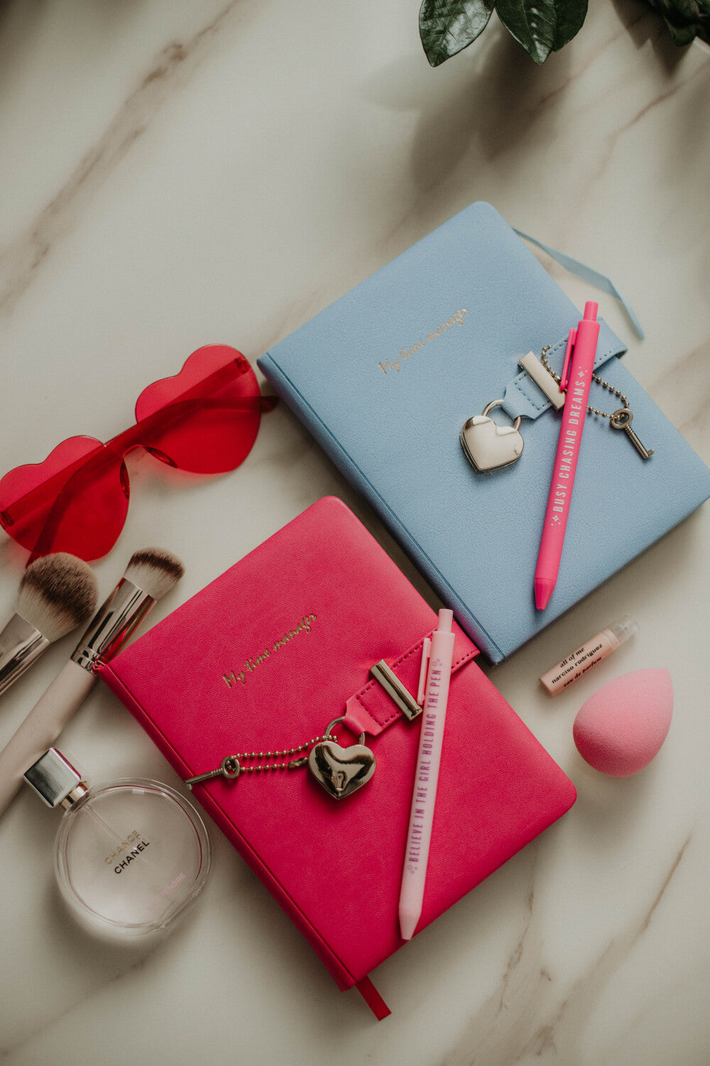 SAPŅU DIENASGRĀMATA