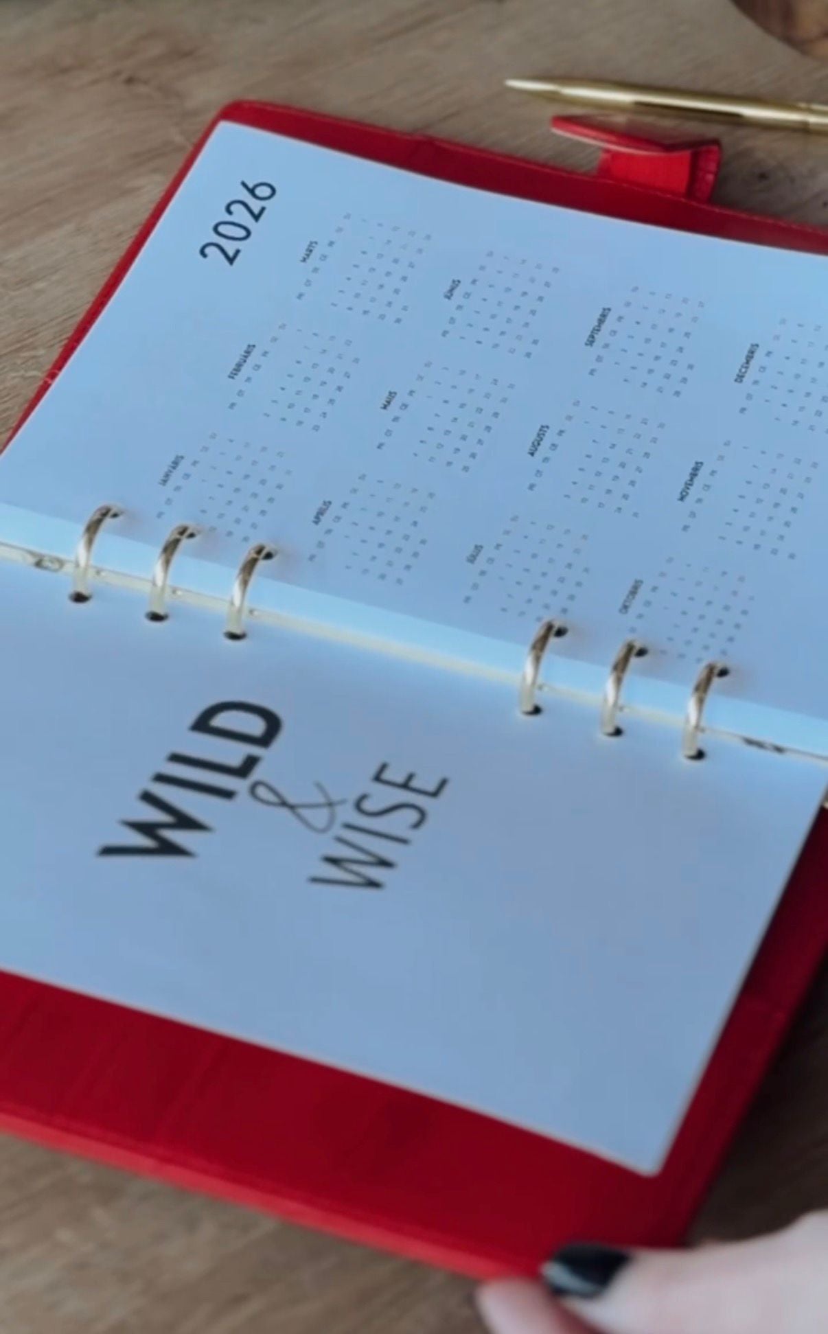 RIŅĶU IEKŠLAPAS (bez vākiem) | 2026